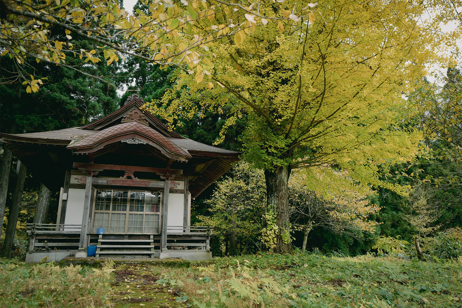 田代神社1