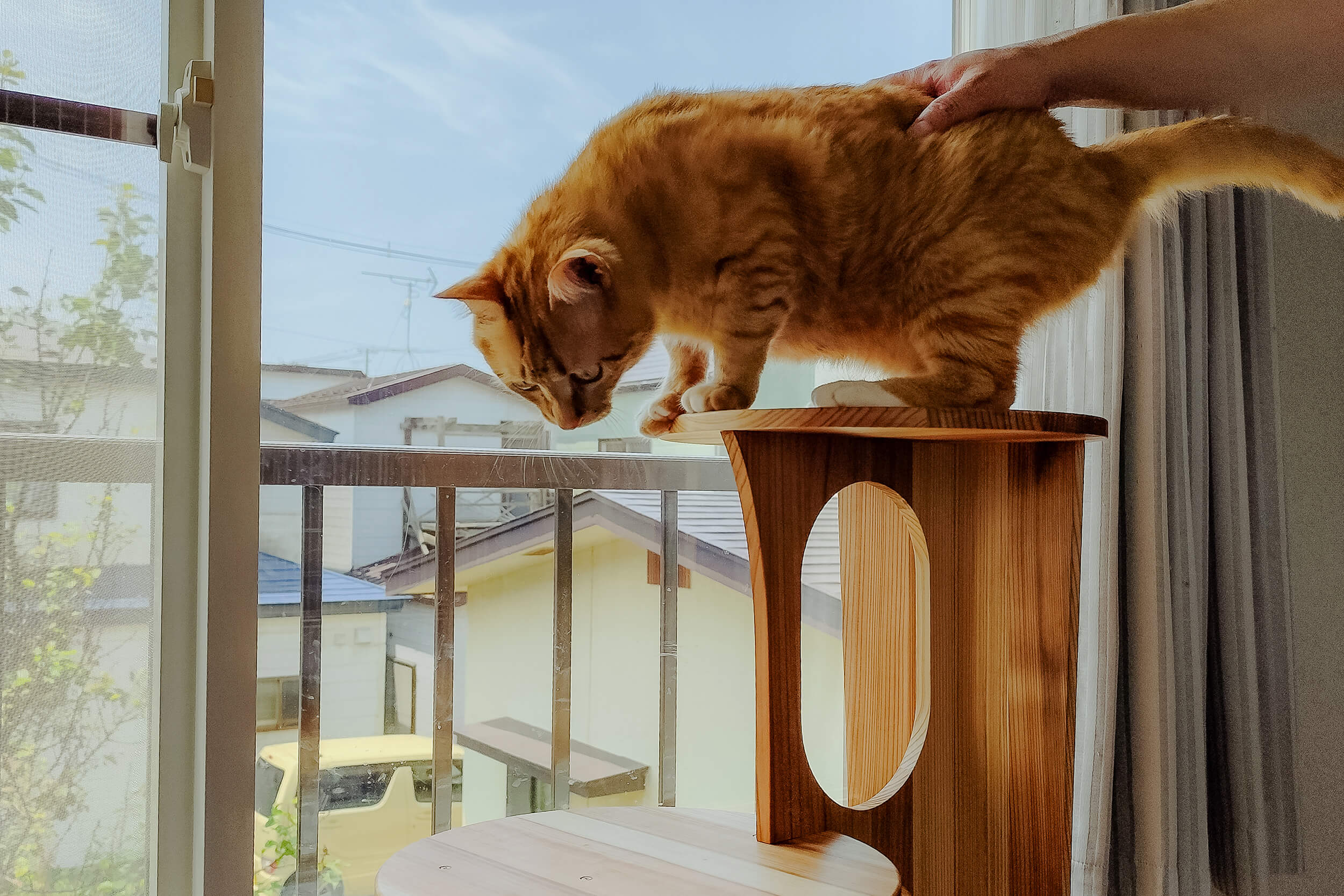 木の学校でキャットタワー作ってみた