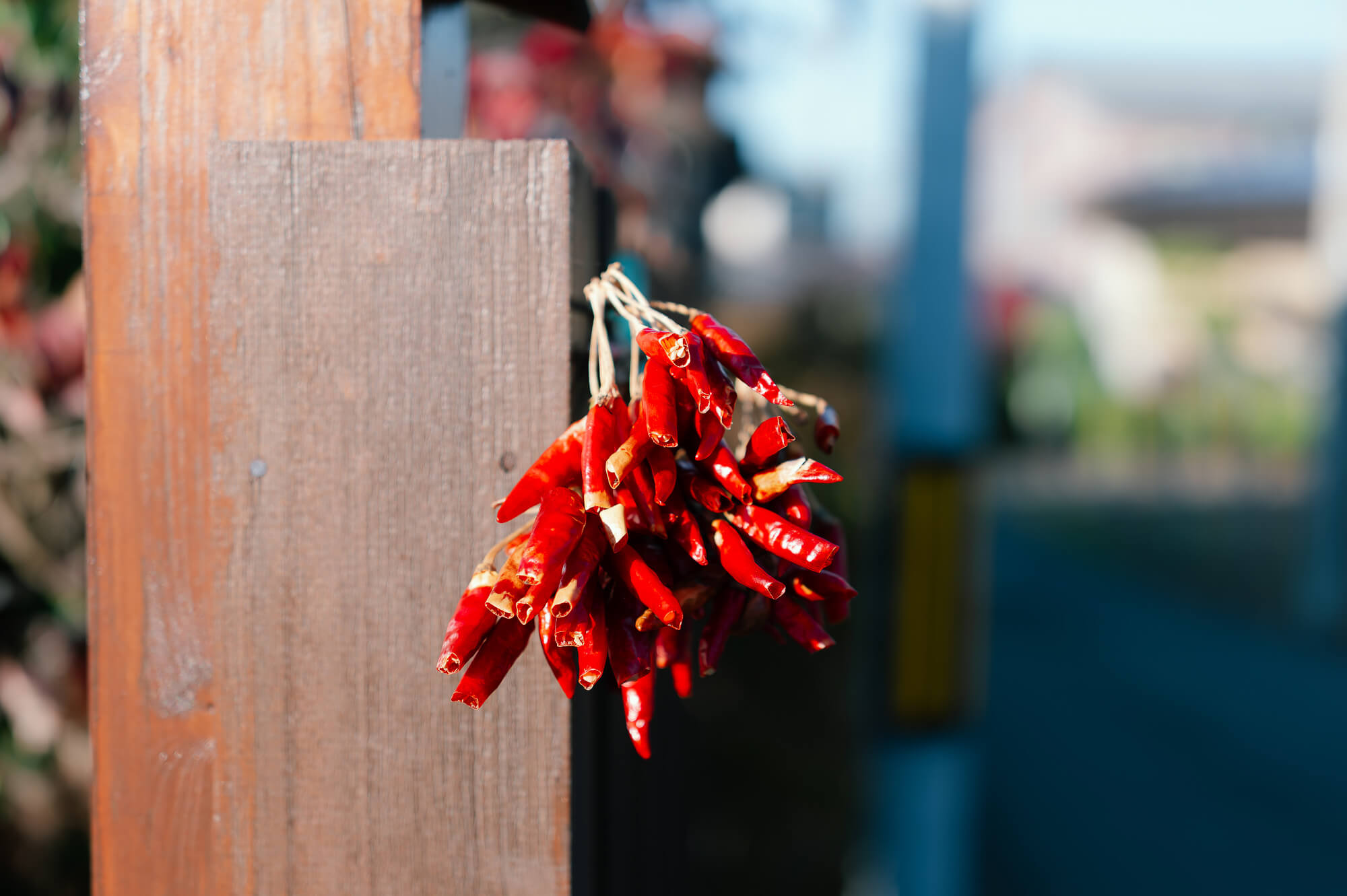 熊騒動と日本の黄昏①