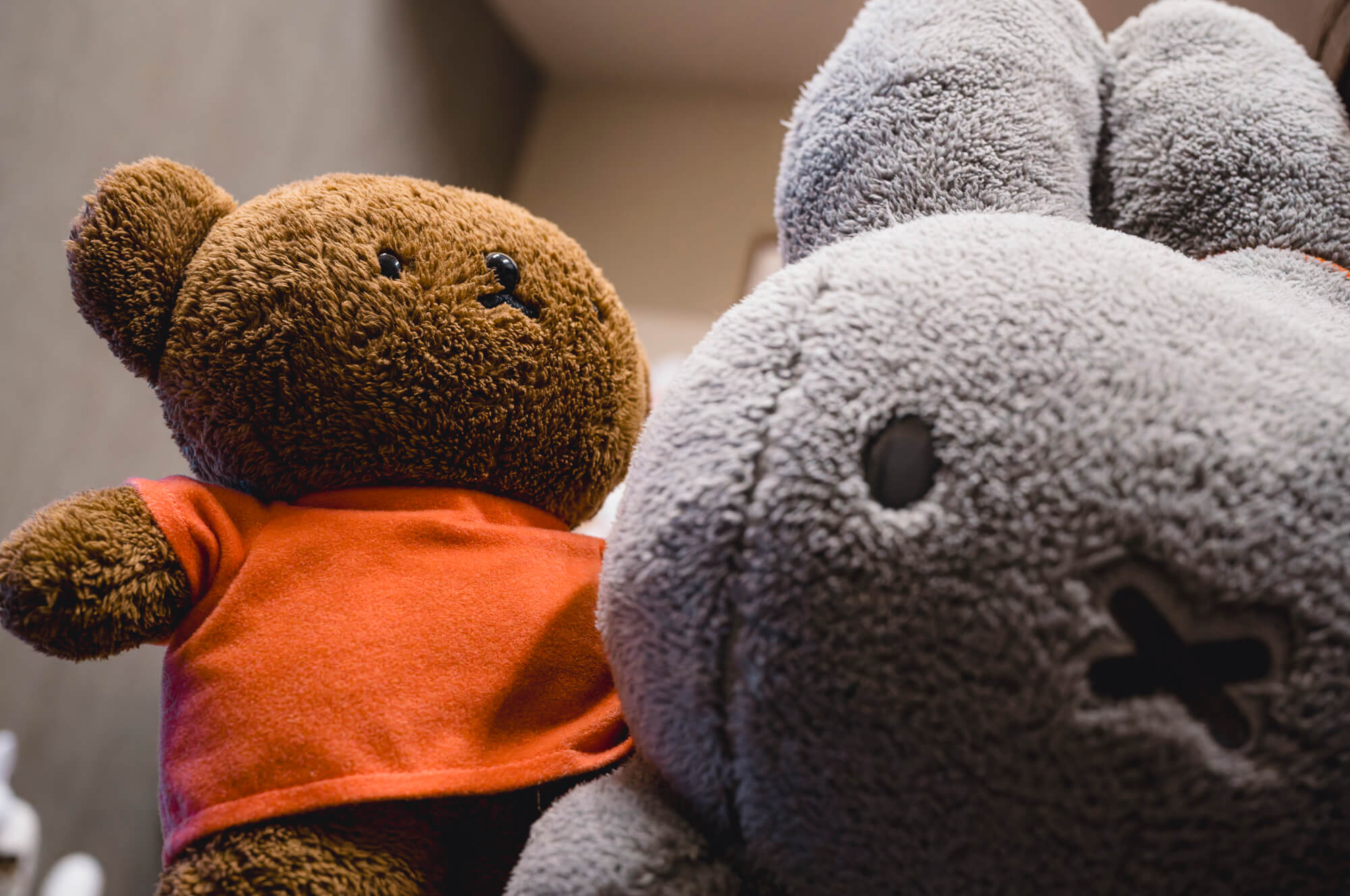 我が家のゴンタくん(ボリス)と、うさぎのダイコちゃん(ブルーナアニマル)