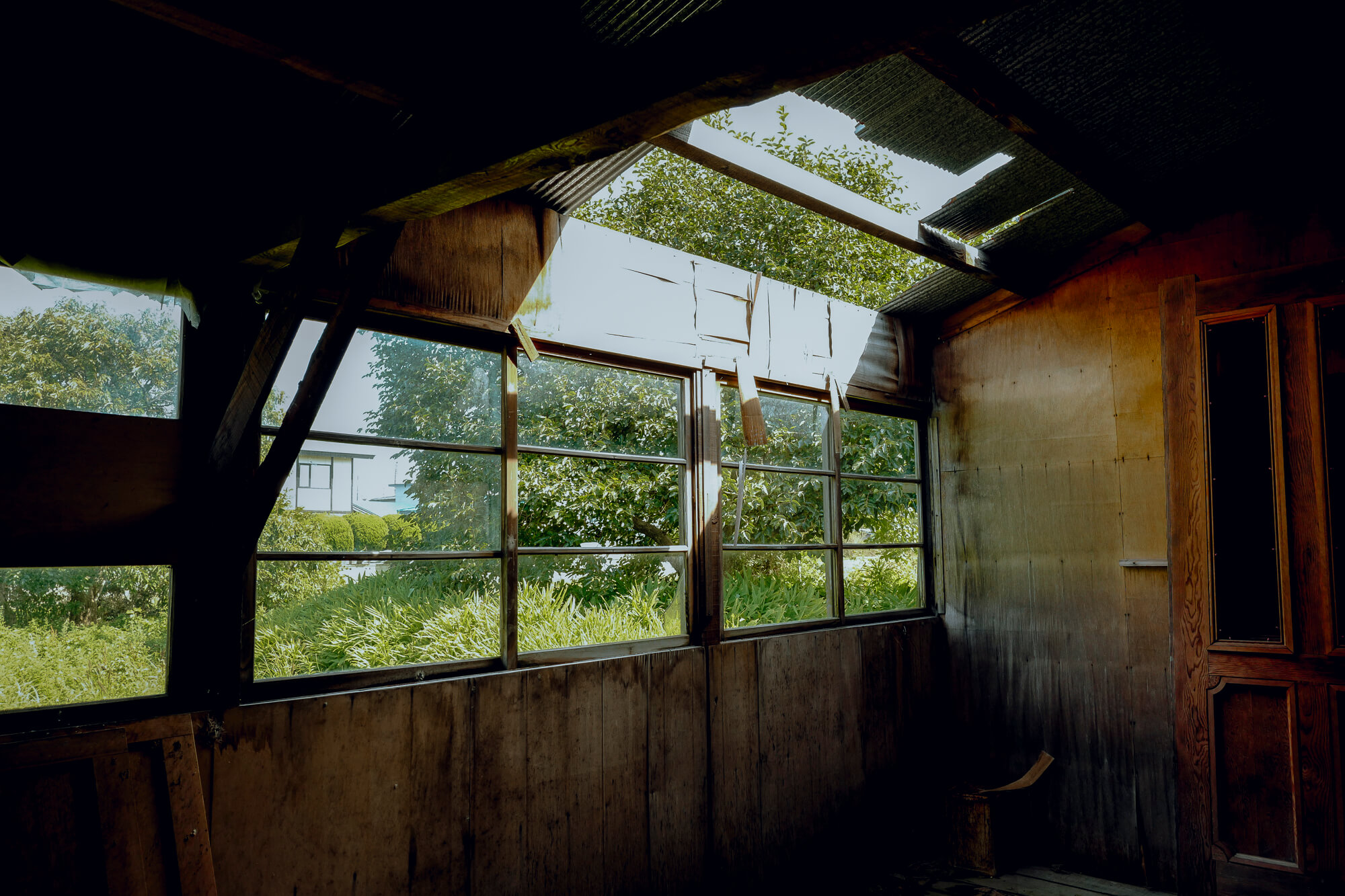 所々割れ落ちたガラス窓の向こうに、栗の木が見えます