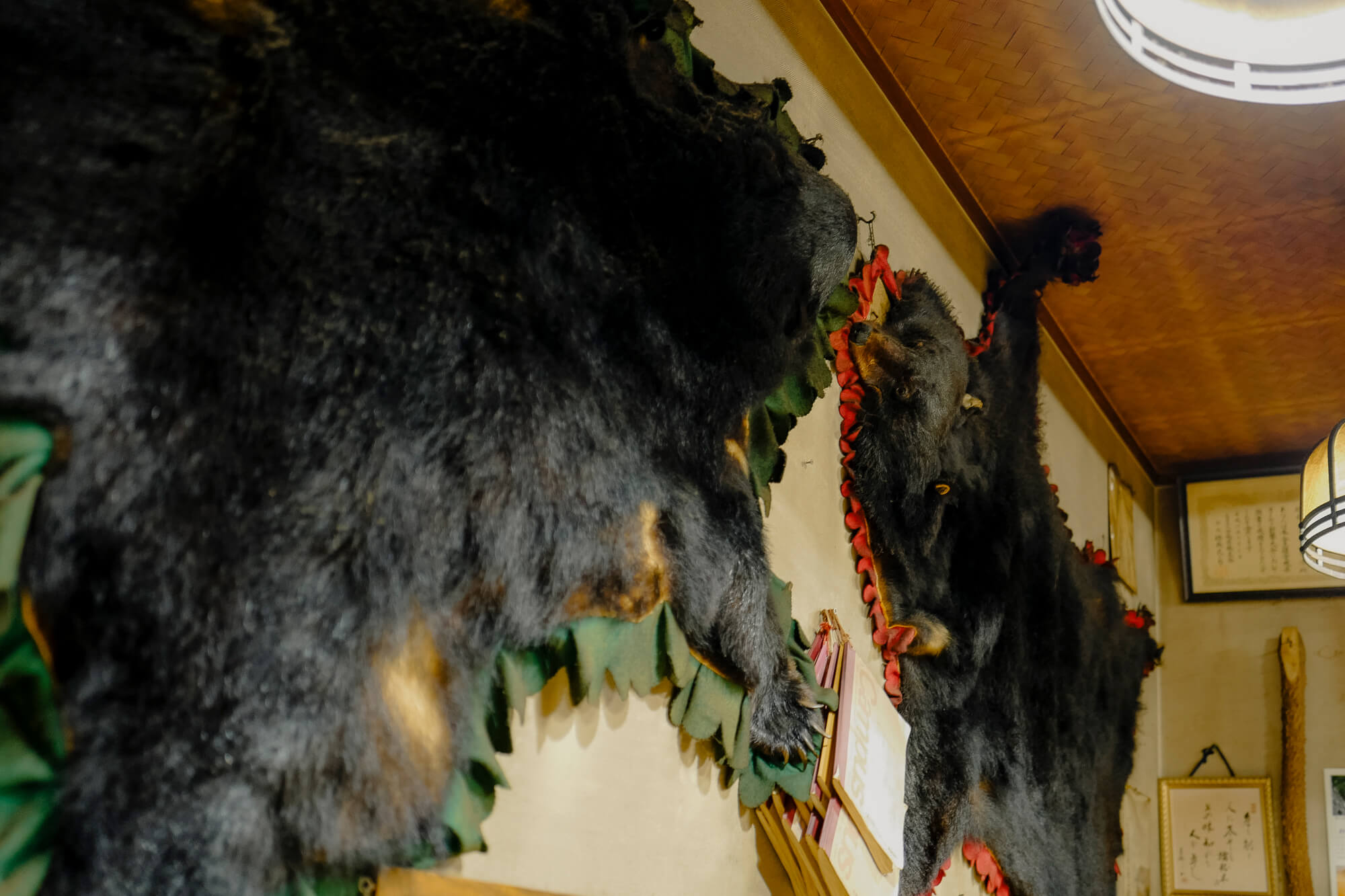 熊騒動と日本の黄昏③