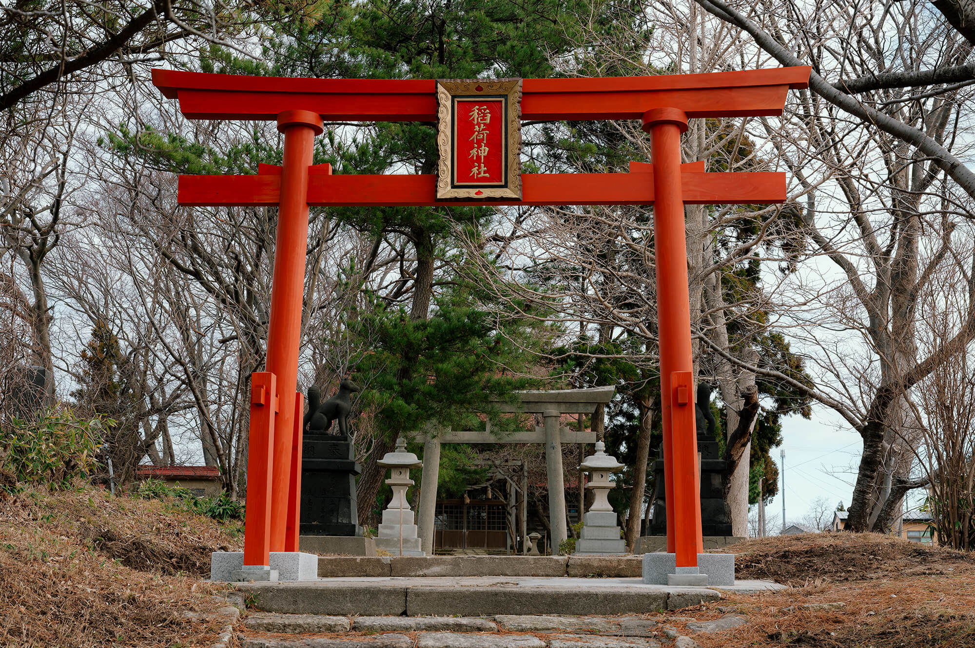 堂々たる佇まい。